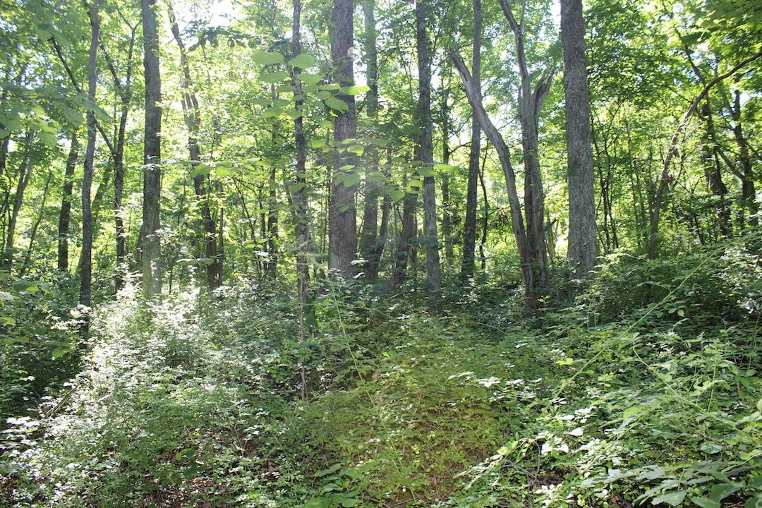 0 Mt Union Road Rutland, OH 45775 - Photo 26 of 48