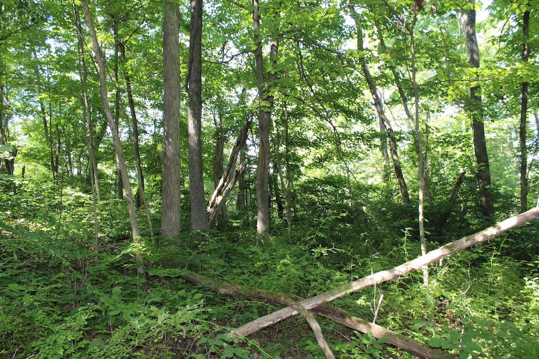 0 Mt Union Road Rutland, OH 45775 - Photo 28 of 48