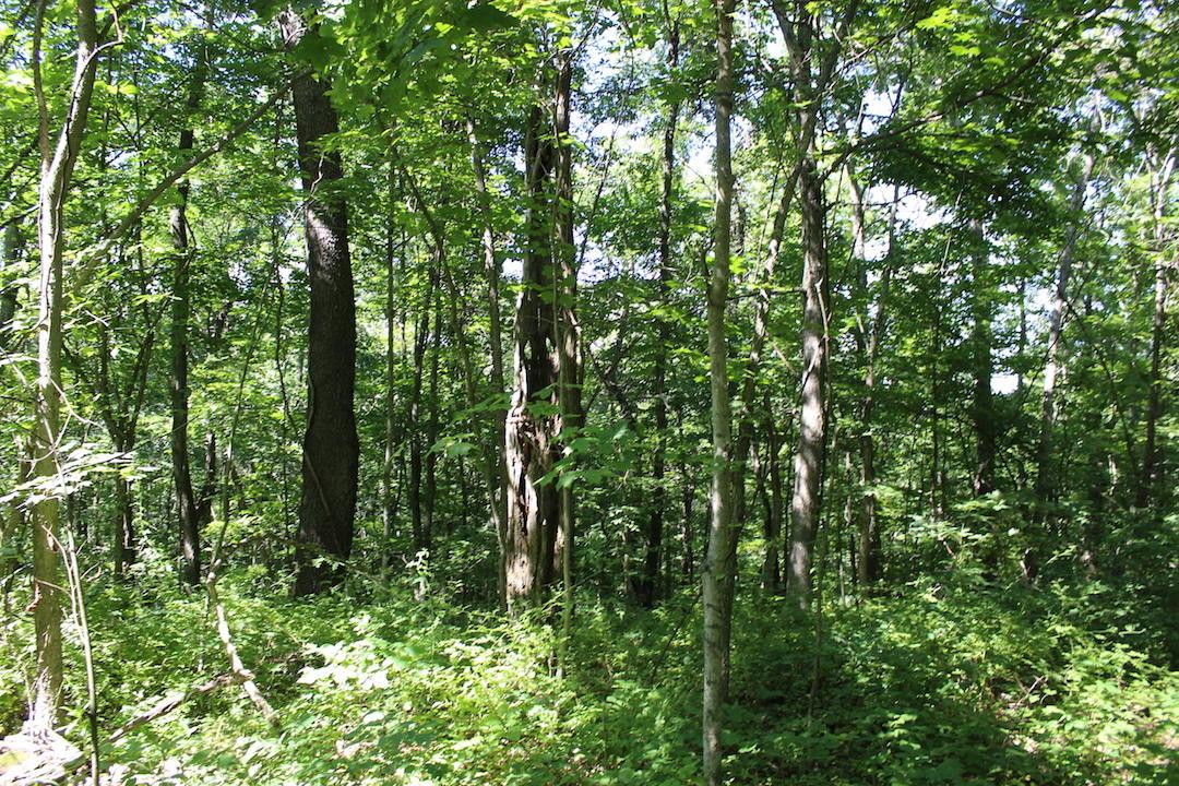 0 Mt Union Road Rutland, OH 45775 - Photo 30 of 48
