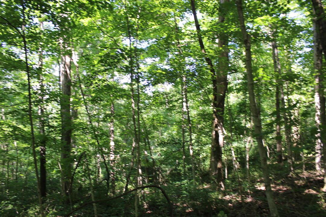 0 Mt Union Road Rutland, OH 45775 - Photo 33 of 48