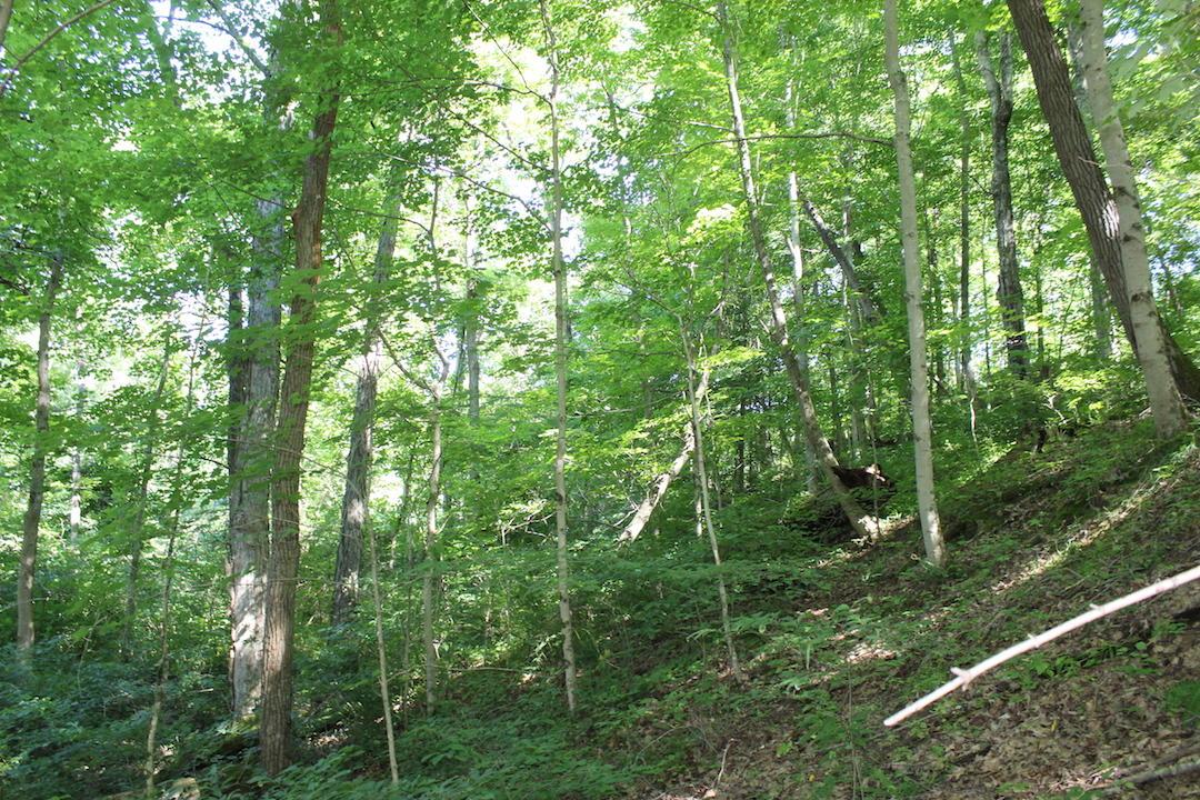 0 Mt Union Road Rutland, OH 45775 - Photo 36 of 48