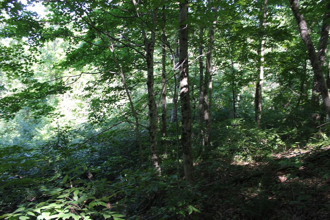 0 Mt Union Road Rutland, OH 45775 - Photo 38 of 48