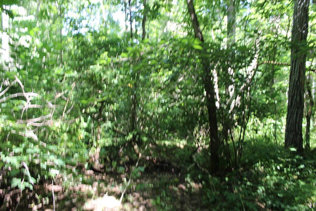 0 Mt Union Road Rutland, OH 45775 - Photo 39 of 48