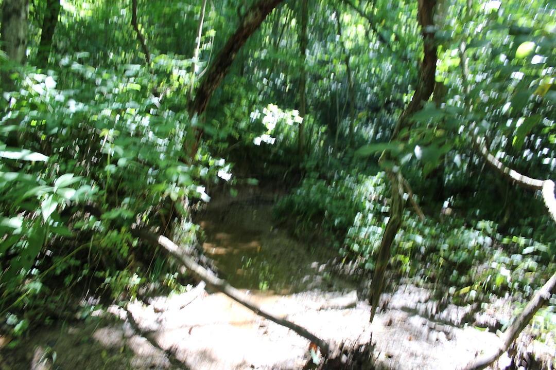 0 Mt Union Road Rutland, OH 45775 - Photo 40 of 48