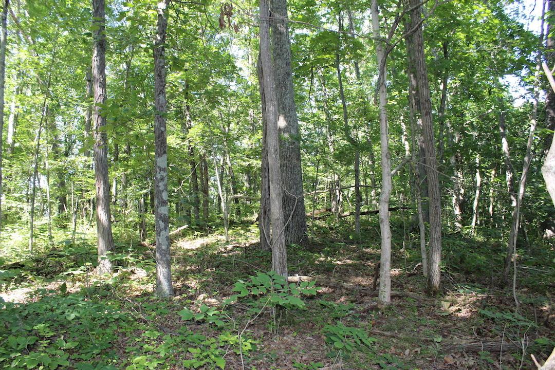0 Mt Union Road Rutland, OH 45775 - Photo 42 of 48