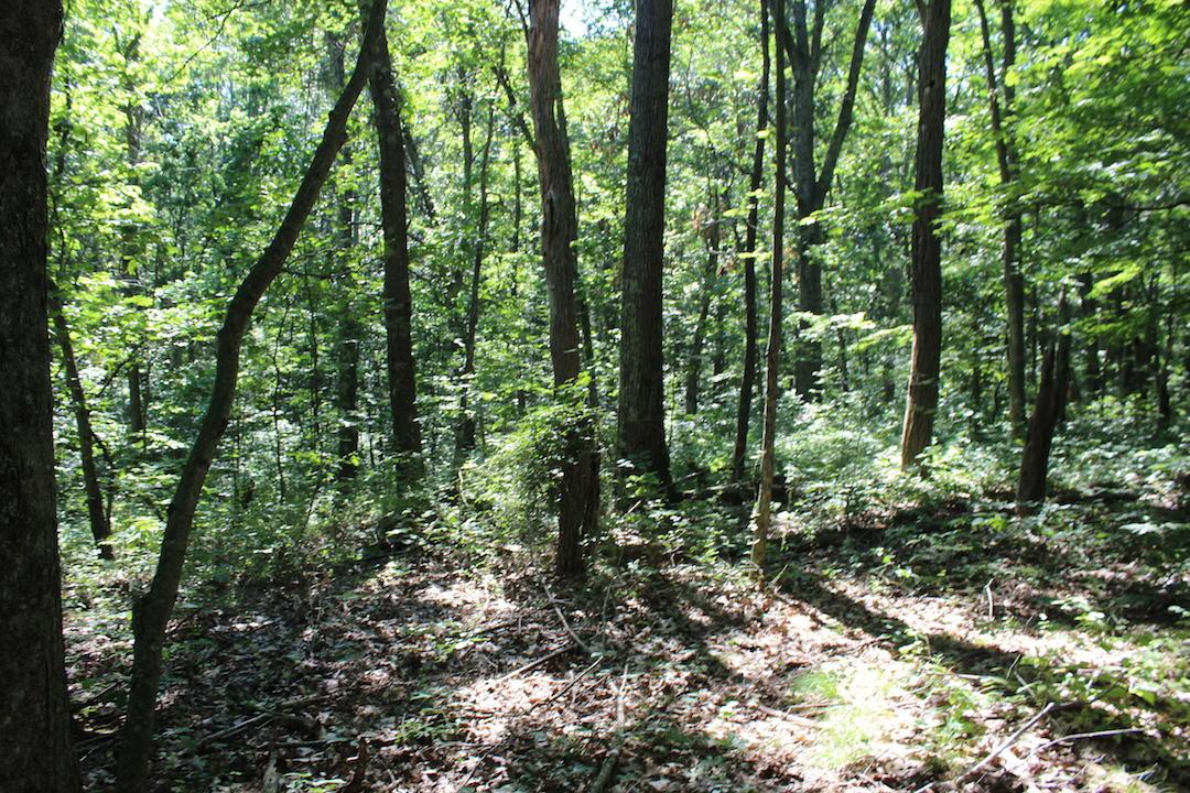 0 Mt Union Road Rutland, OH 45775 - Photo 43 of 48