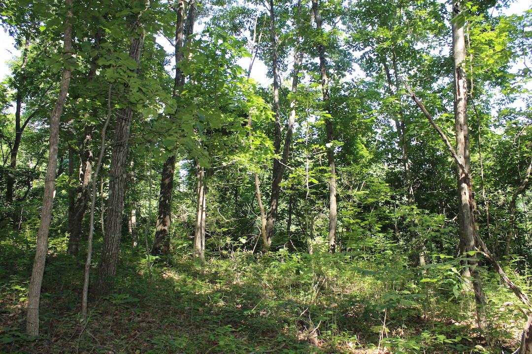 0 Mt Union Road Rutland, OH 45775 - Photo 44 of 48