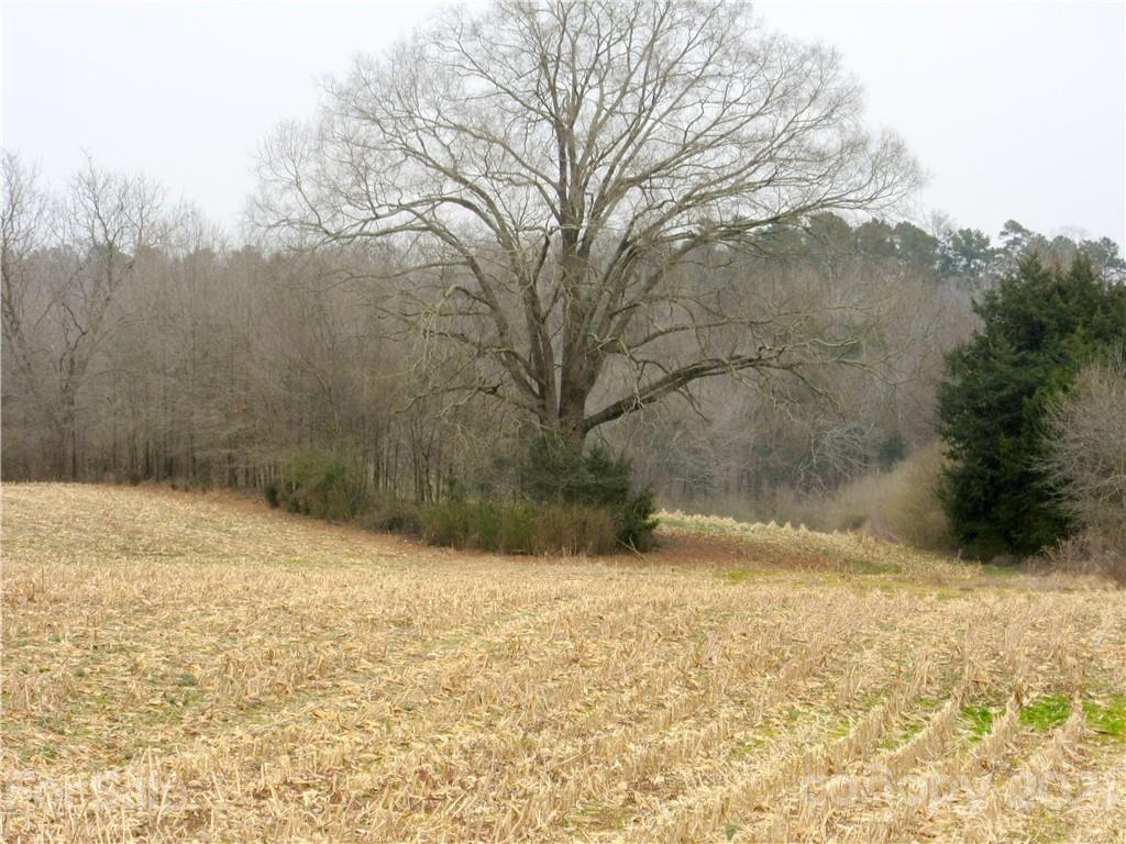 24556 Cherokee Road Albemarle, NC 28001 - Photo 4 of 16 Gallery Image 4
