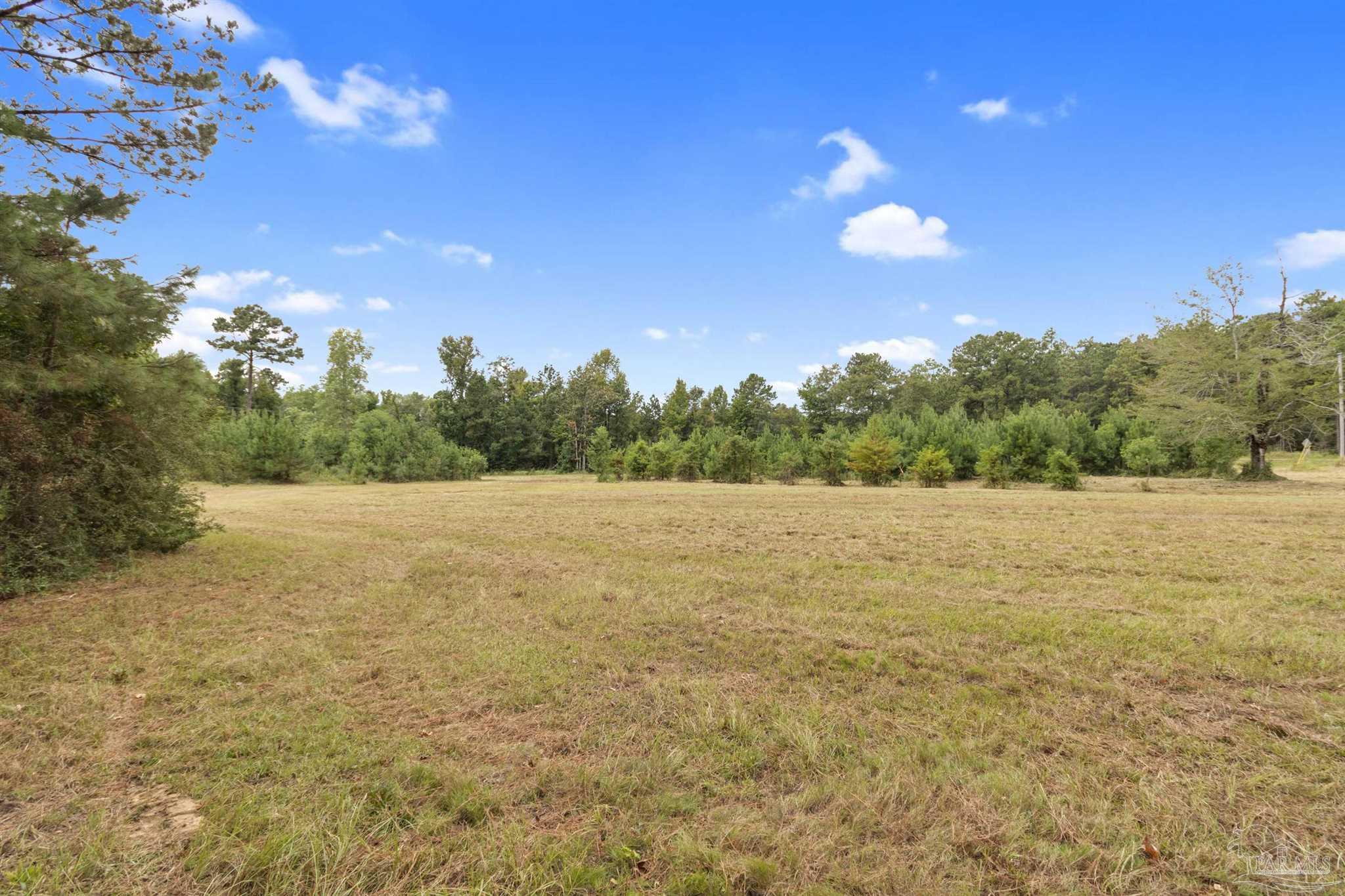0 Drinkard Road Bay Minette, AL 36507 - Photo 20 of 36 Gallery Image 20