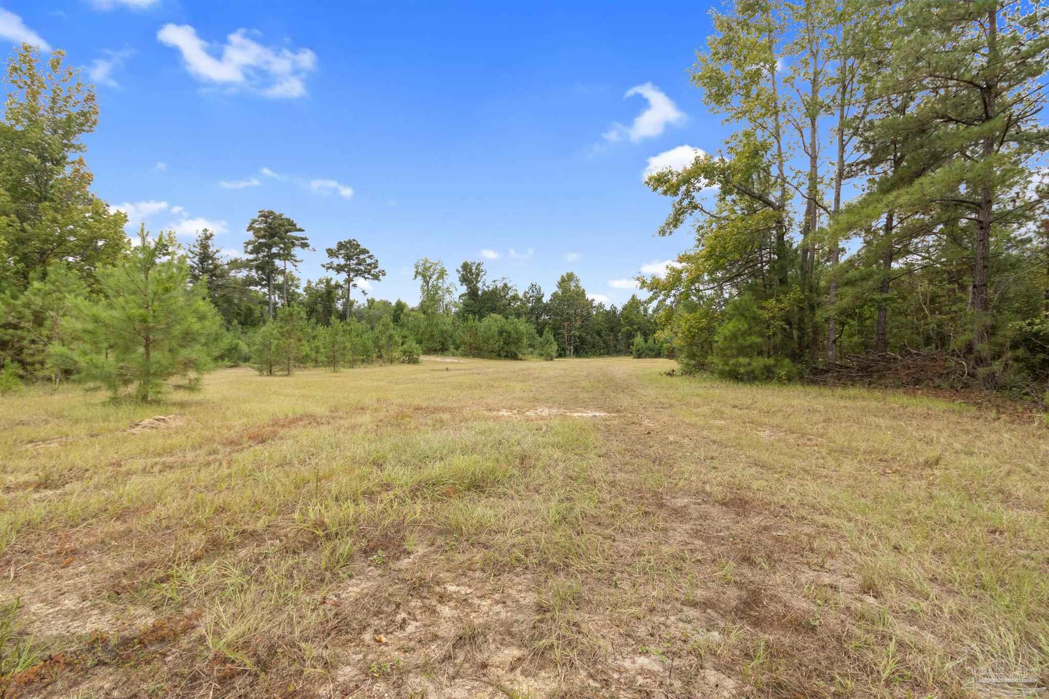 0 Drinkard Road Bay Minette, AL 36507 - Photo 27 of 36 Gallery Image 27