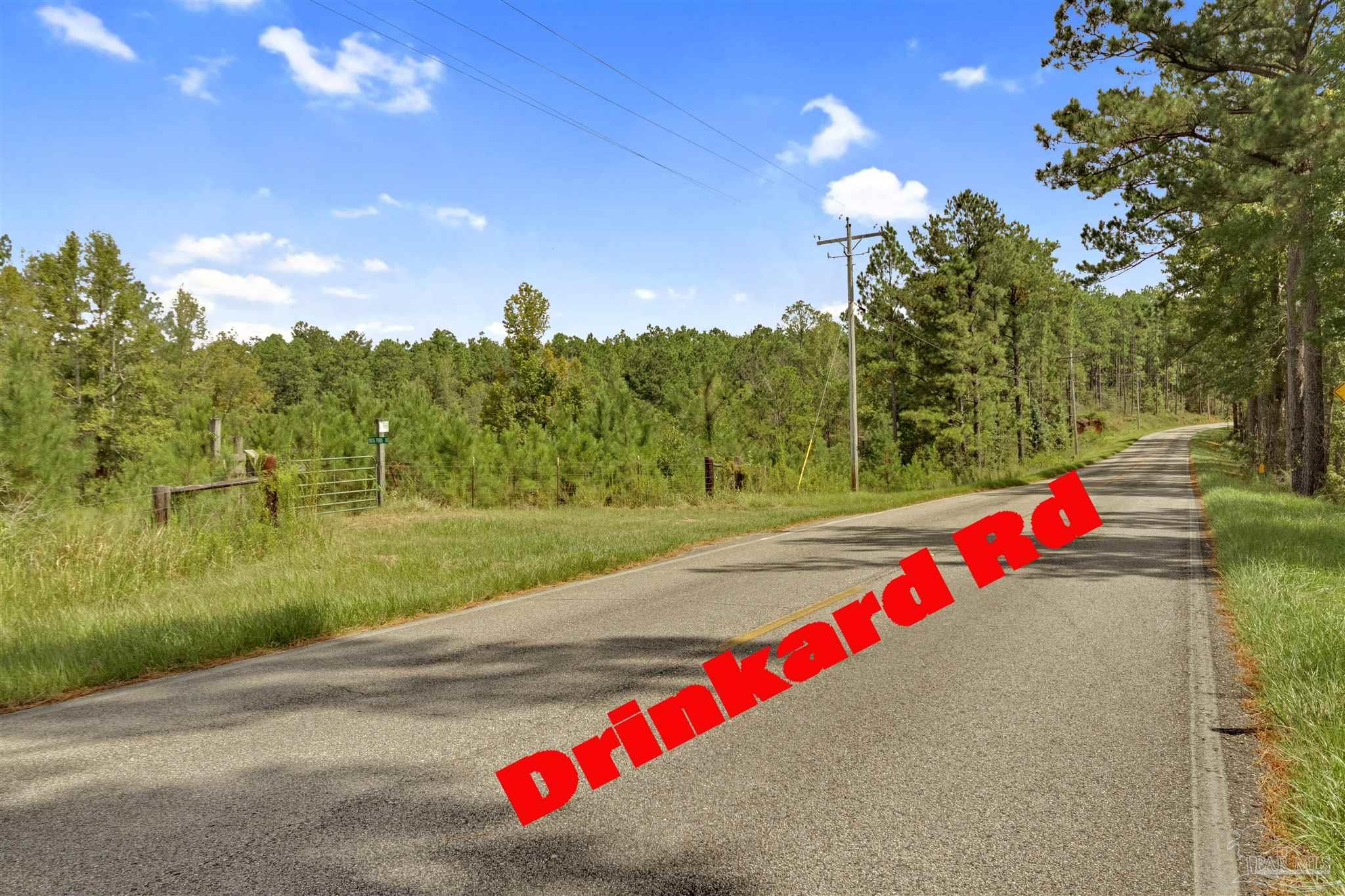 0 Drinkard Road Bay Minette, AL 36507 - Photo 34 of 36 Gallery Image 34