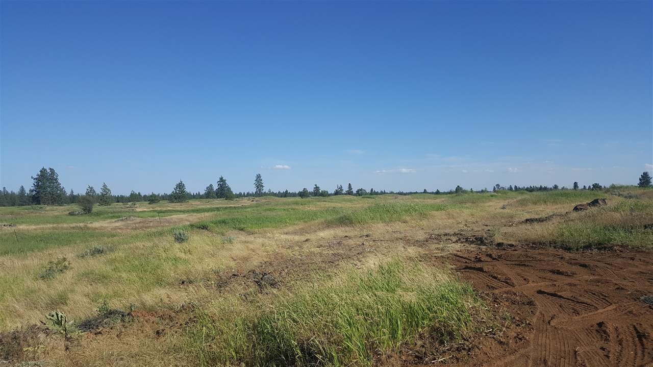 Lot 4 South Harrison Road Edwall, WA 99008 - Photo 14 of 15