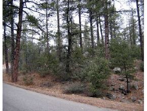 37 High Valley Ranch Road Prescott, AZ 86303 - Photo 1 of 2 Primary Photo