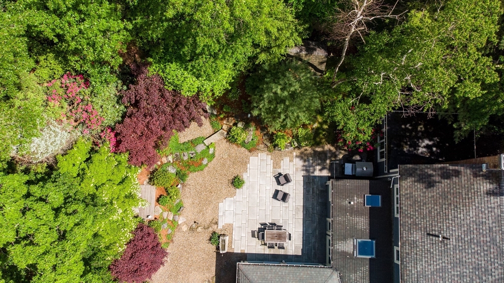 42 Buckman Drive Lexington, MA 02421 - Photo 32 of 39
