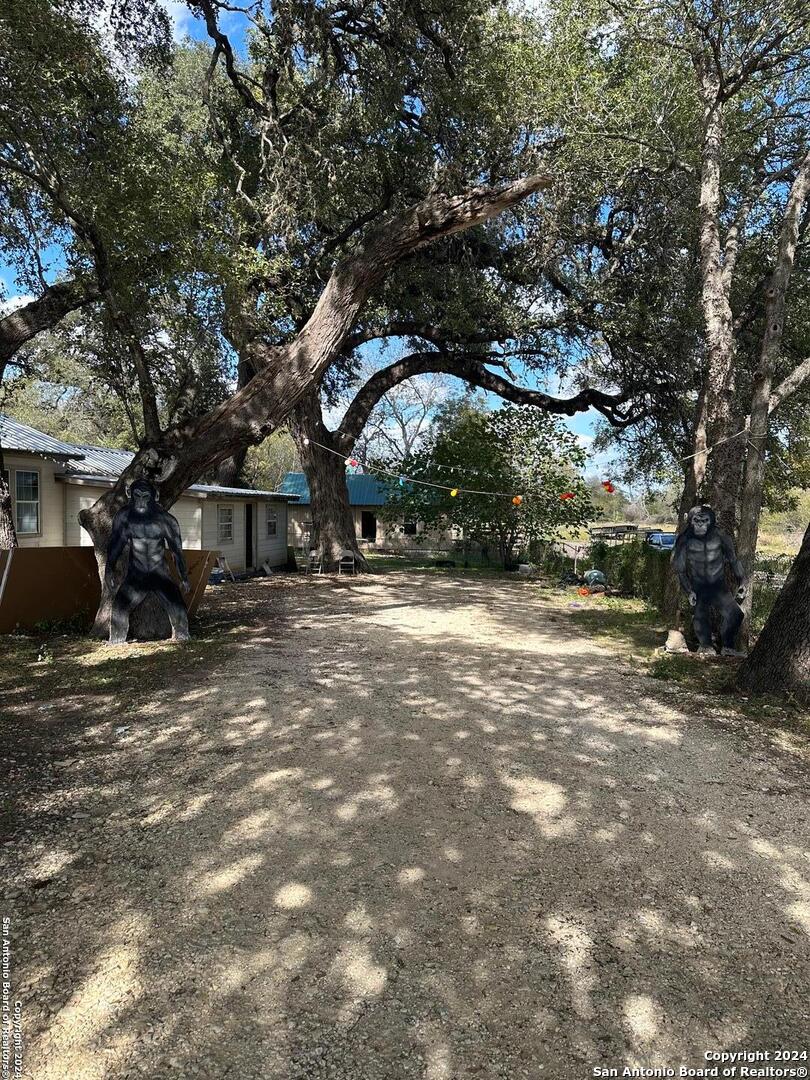 14075 Sherwood Road Atascosa, TX 78002 - Photo 6 of 15