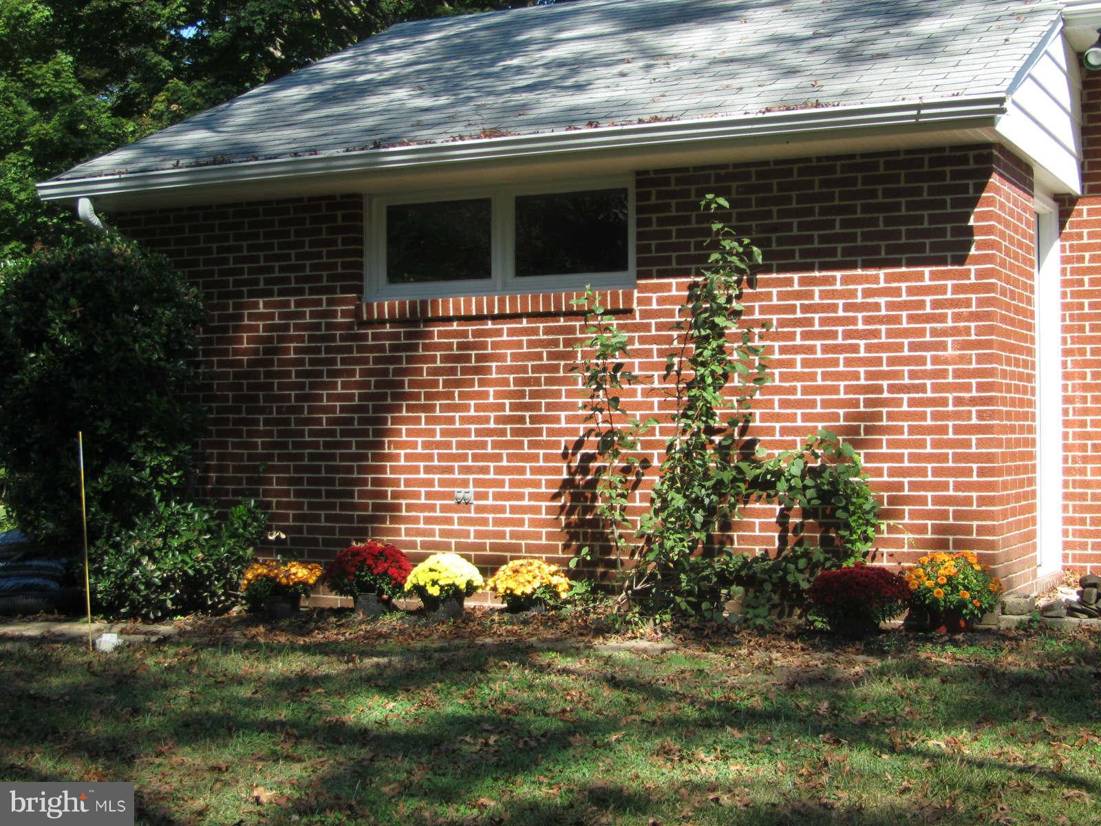 Exterior (General)