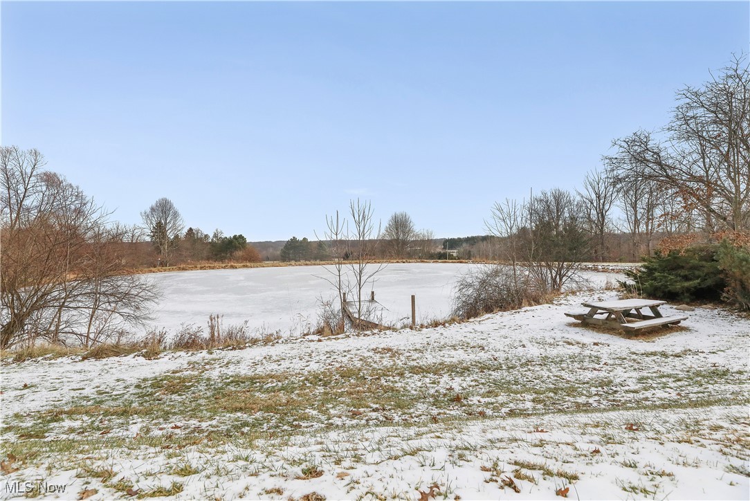 7014 River Styx Road Medina, OH 44256 - Photo 24 of 49 View of yard layered in snow