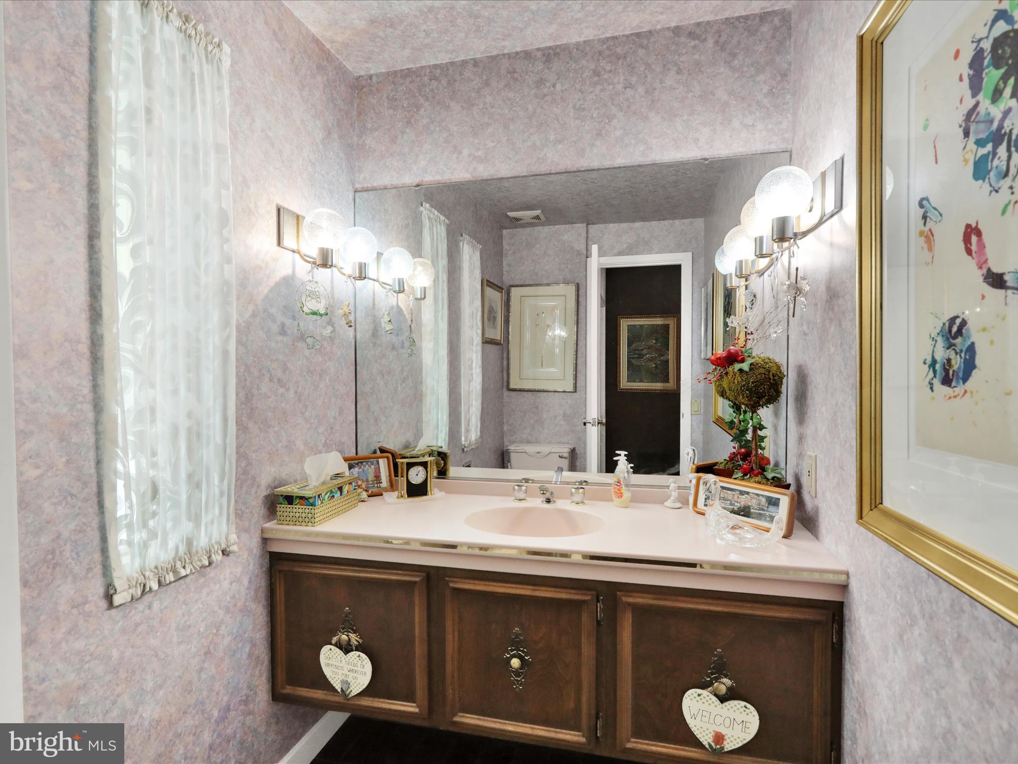 1617 Meadowlark Road Wyomissing, PA 19610 - Photo 32 of 99 a bathroom with a sink and a mirror