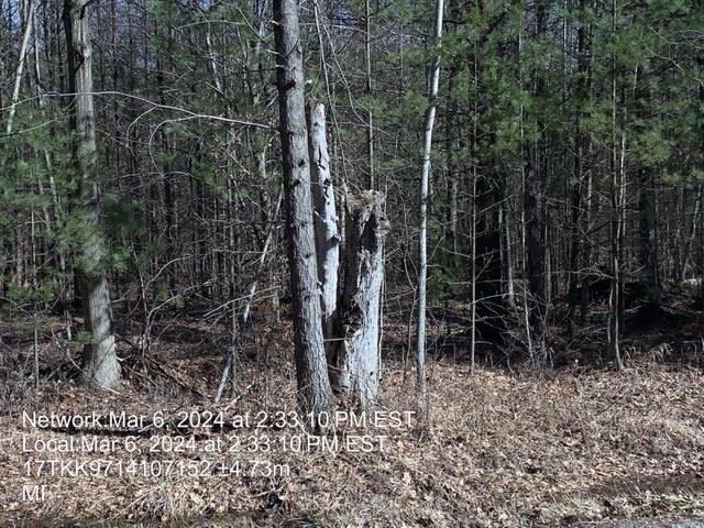 0 East Timreck Road, Unit PARCEL A Tawas City, MI 48763 - Photo 2 of 6