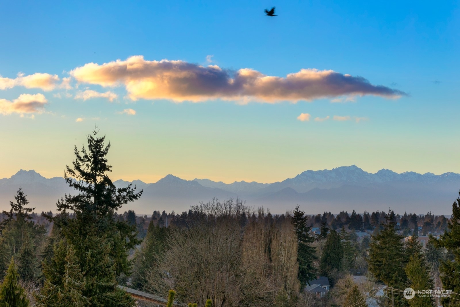 337 Northeast 90th Street, Unit 3 Seattle, WA 98115 - Photo 19 of 20 a view of a lake and sunset
