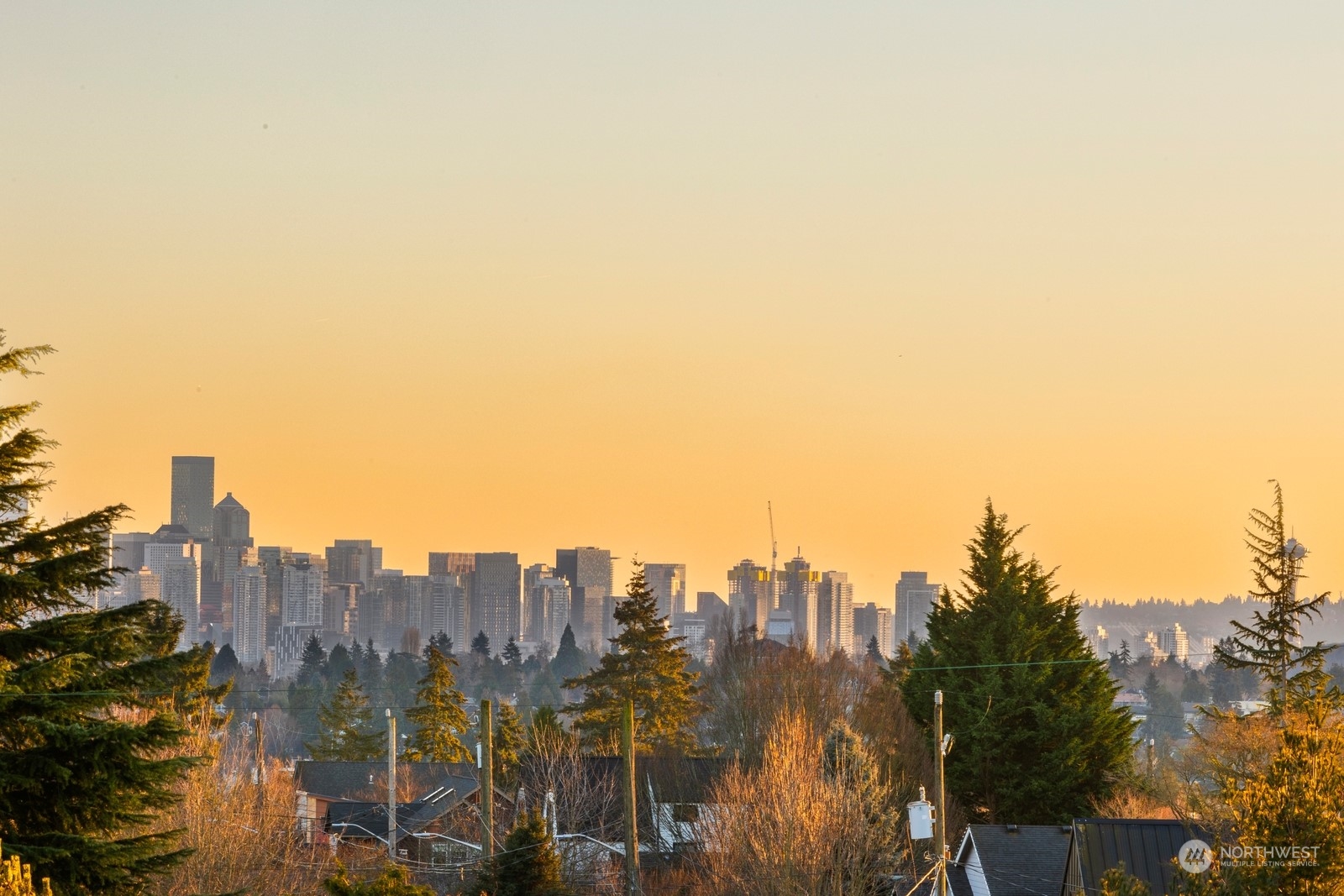 337 Northeast 90th Street, Unit 3 Seattle, WA 98115 - Photo 2 of 20 a view of a city