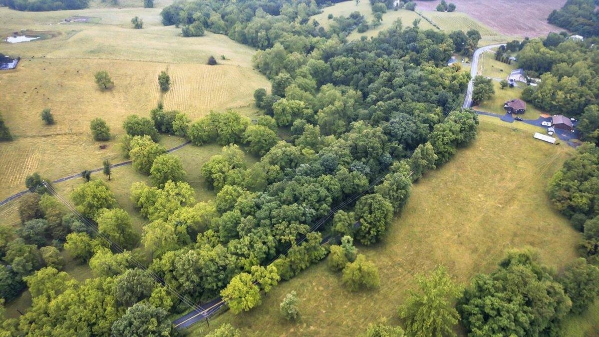 4767 South Ox Road Woodstock, VA 22664 - Photo 24 of 29