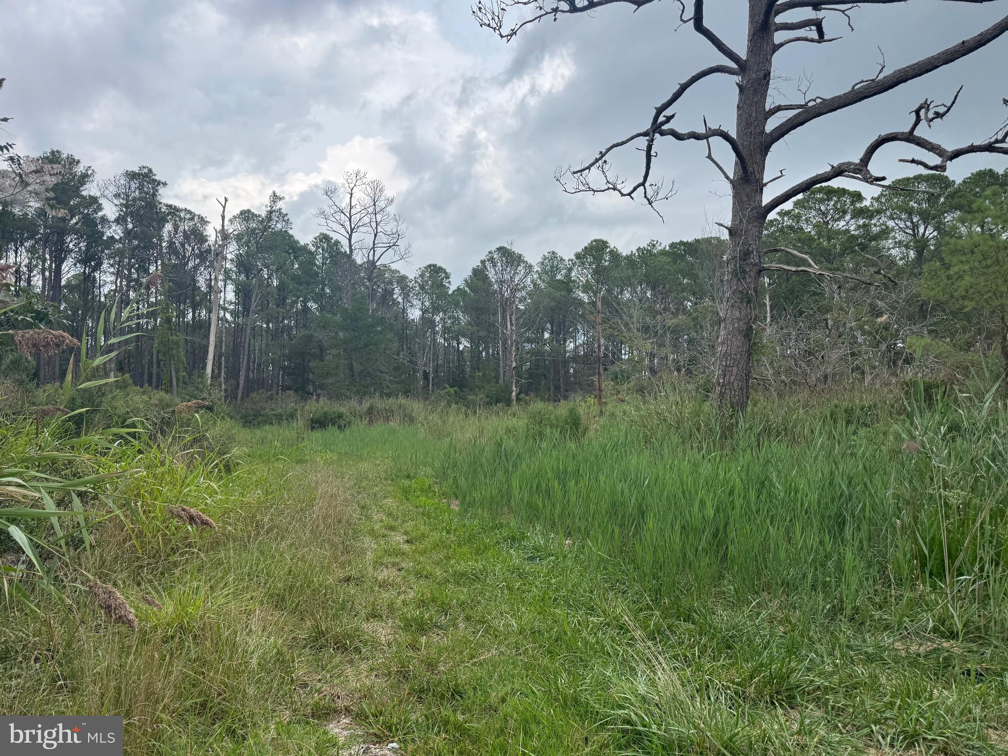 3276 Sackertown Road Crisfield, MD 21817 - Photo 20 of 23 Gallery Image 20