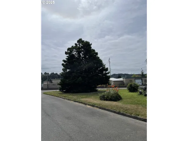 a view of a yard with plants and a fountain