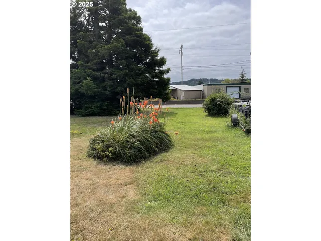 a view of a backyard