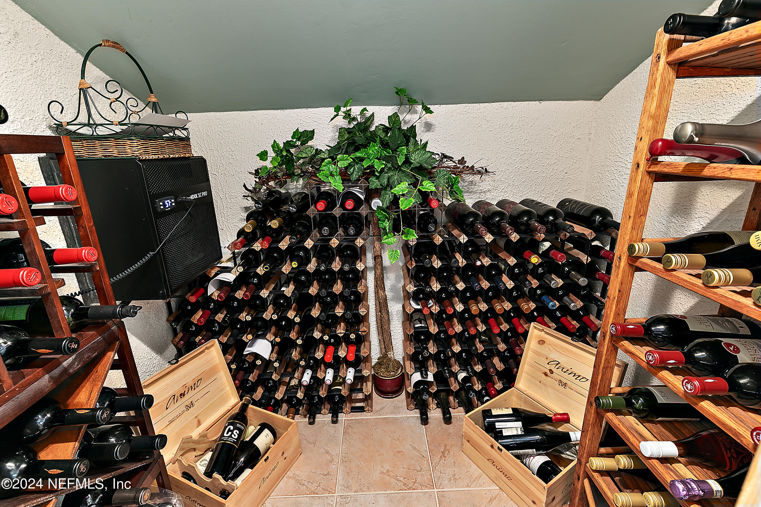 113 Arnau Court St. Augustine, FL 32095 - Photo 65 of 75 56-Wine Cellar