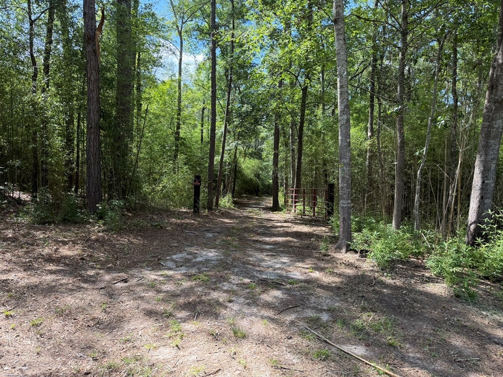 4574 Hadley Ferry Road Cairo, GA 39828 - Photo 27 of 51 Gallery Image 27