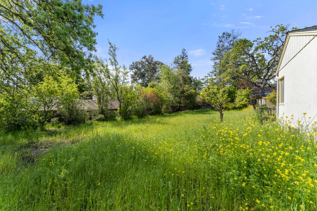 2101 Sharon Road Menlo Park, CA 94025 - Photo 16 of 31 a view of yard with green space