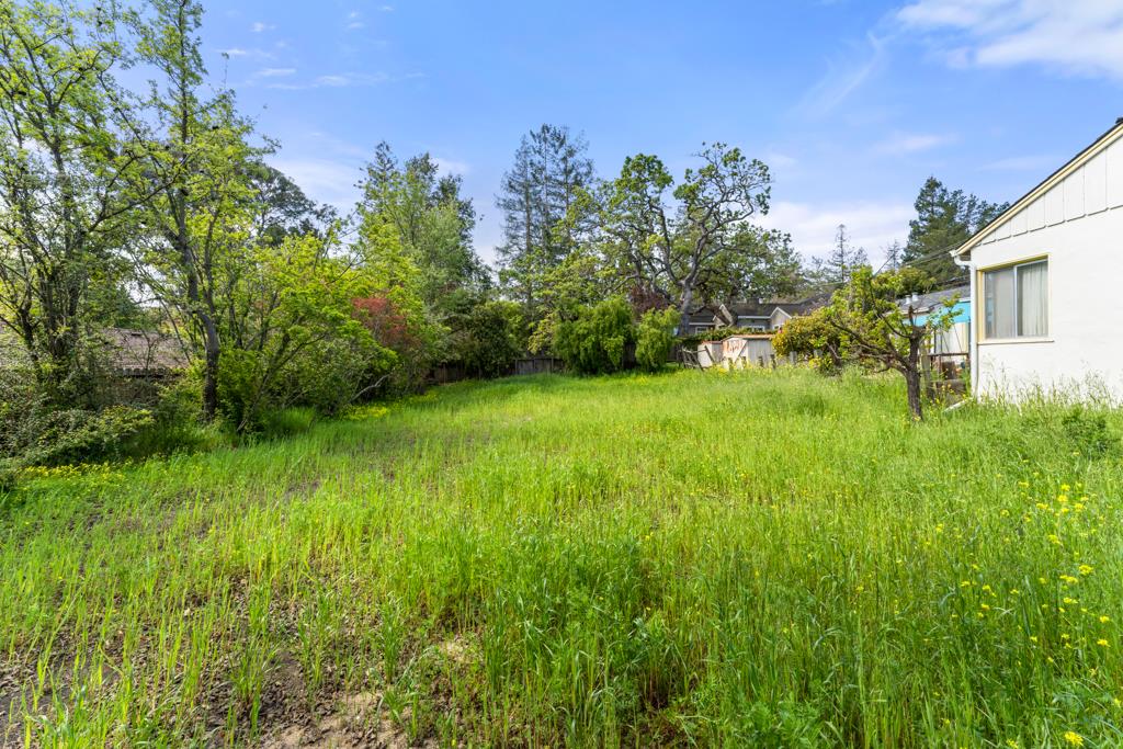 2101 Sharon Road Menlo Park, CA 94025 - Photo 18 of 31 a view of a lush green space
