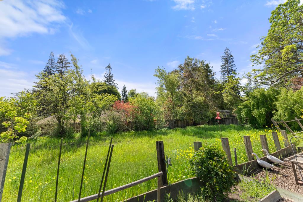 2101 Sharon Road Menlo Park, CA 94025 - Photo 22 of 31 a view of a garden with plants