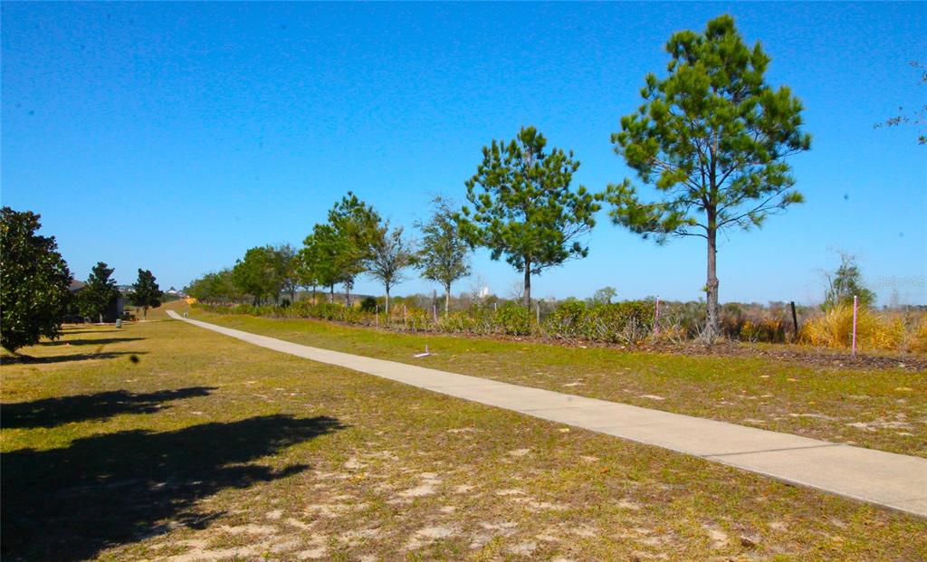 3752 Quaint Lane Clermont, FL 34711 - Photo 24 of 49