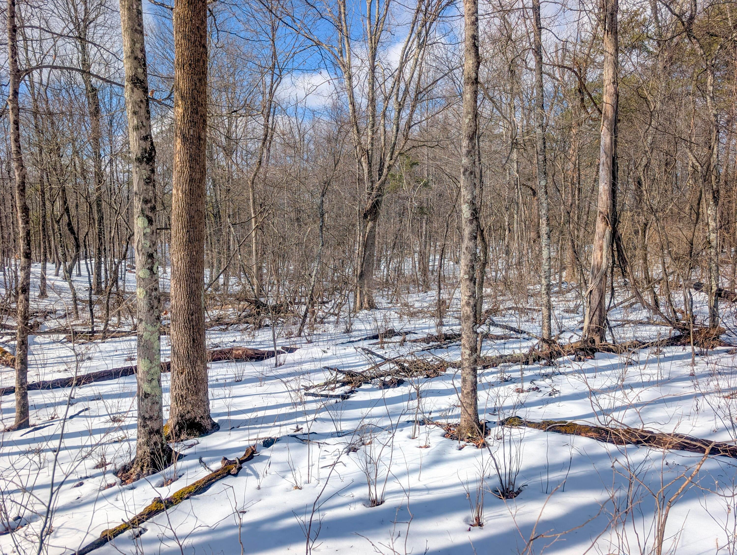 15 Peaker Run Road Macksburg, OH 45746 - Photo 35 of 36 Tract 15_TD-2