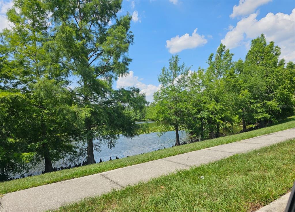 1025 Clovercrest Road Orlando, FL 32811 - Photo 26 of 27 a view of a yard with a tree