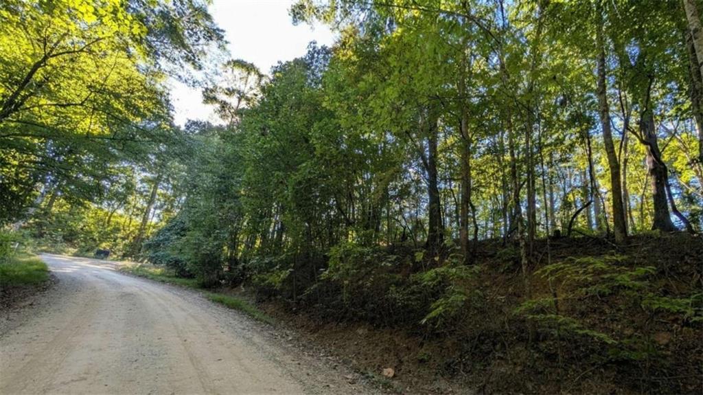 Lot 1 White Oak Circle Blue Ridge, GA 30513 - Photo 14 of 16 Gallery Image 14