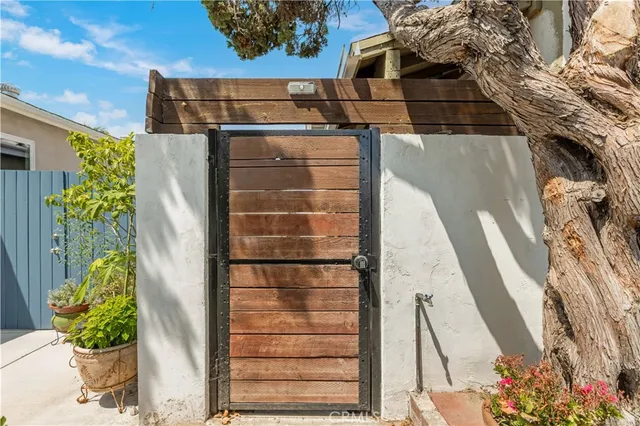 a view of a potted plant in front of a door