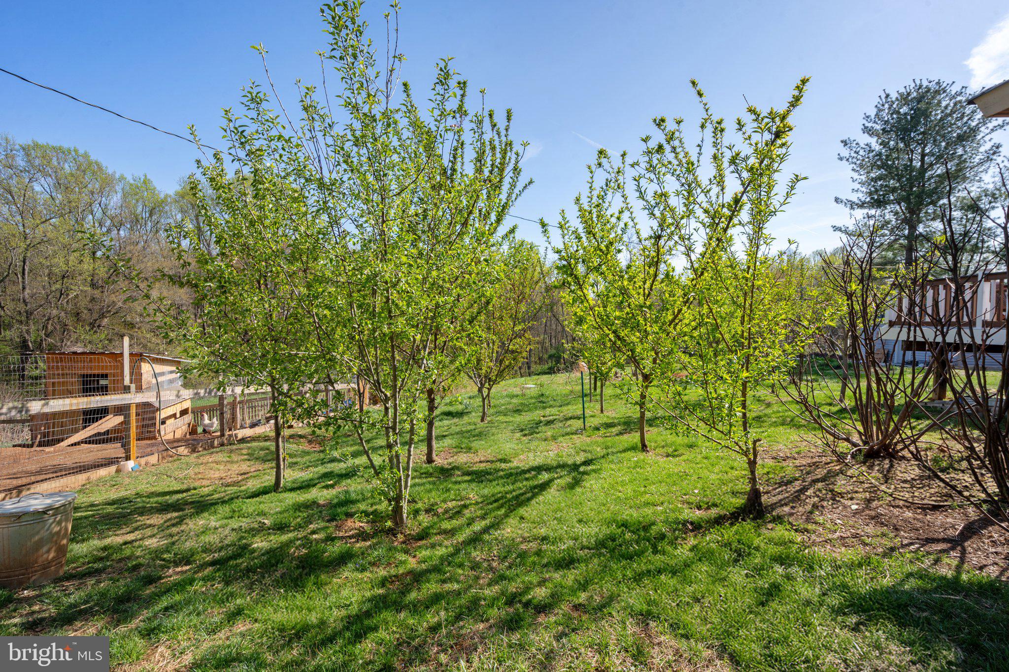 571 Richmond Road Amissville, VA 20106 - Photo 17 of 23 a view of yard with green space