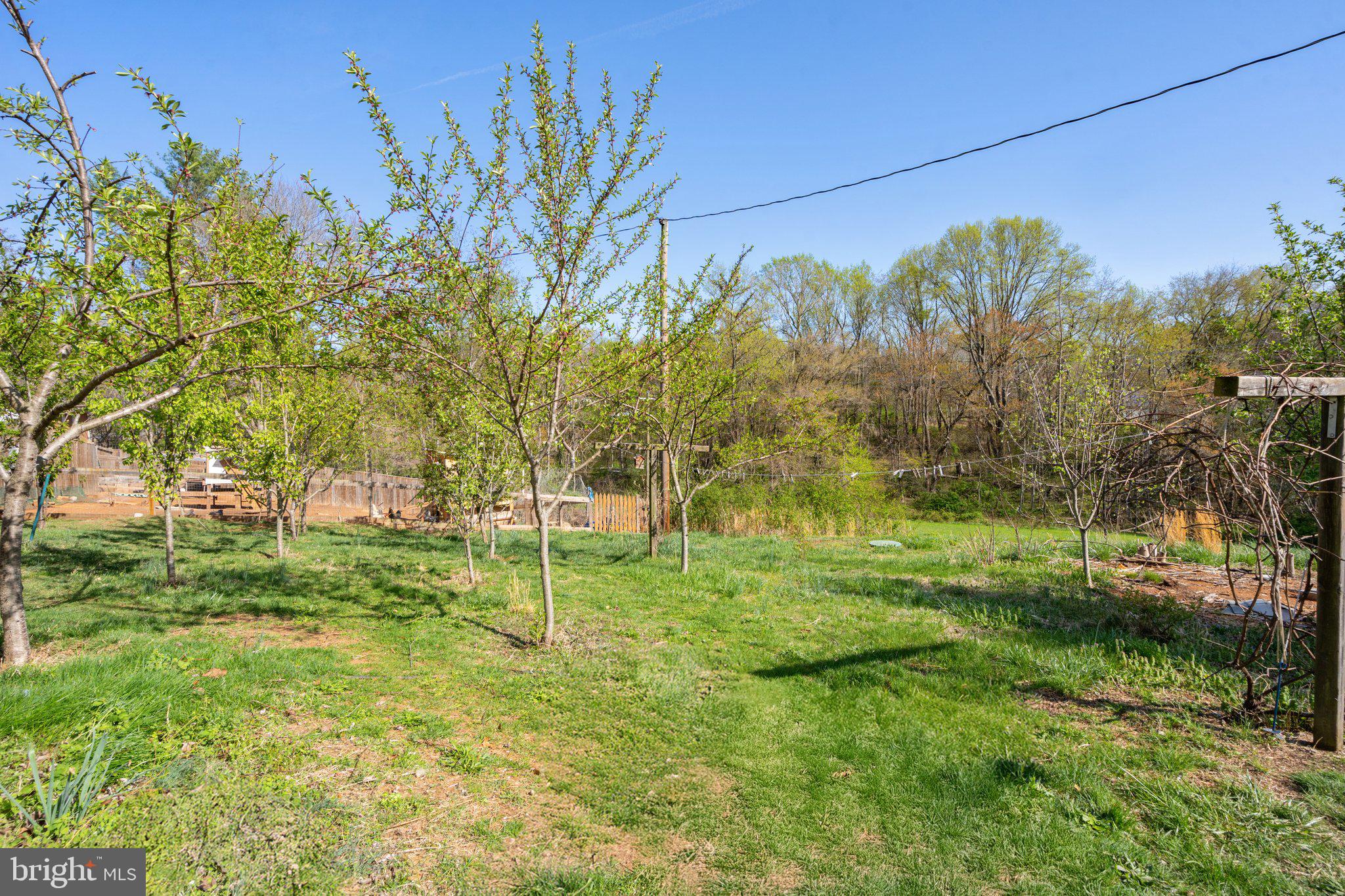 571 Richmond Road Amissville, VA 20106 - Photo 18 of 23 a backyard of a house with lots of green space and chair