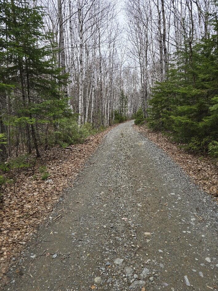 Lot 18-5 Camp Rd Mount Mount Chase, ME 04765 - Photo 13 of 14 20250506_150213