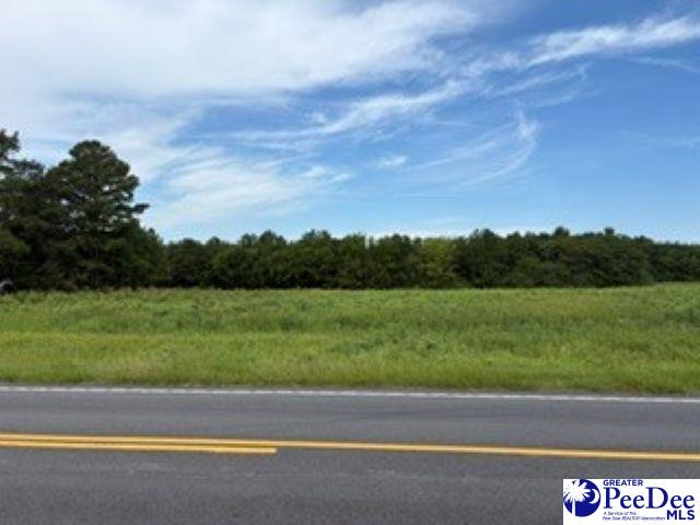 2.37-acres Byrdtown Road Hartsville, SC 29550 - Photo 1 of 4 Gallery Image 1