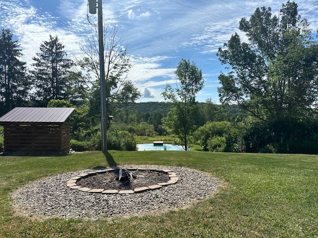 10284 Mattoon Road Prattsburgh, NY 14873 - Photo 11 of 16 Large welcoming firepit overlooking your personal pond