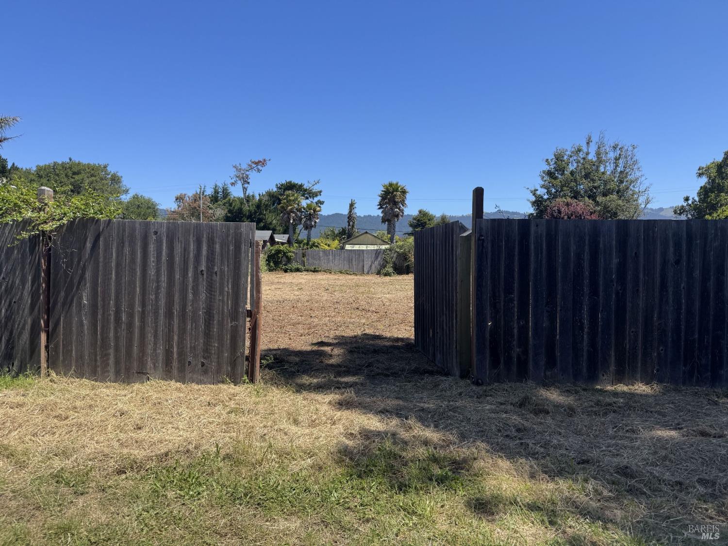 a view of a backyard with wooden fence