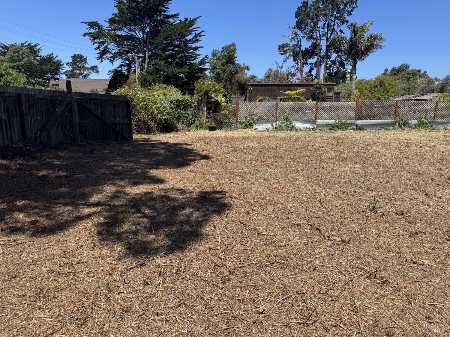 350 Cedar Road Bolinas, CA 94924 - Photo 4 of 5 a backyard of a house