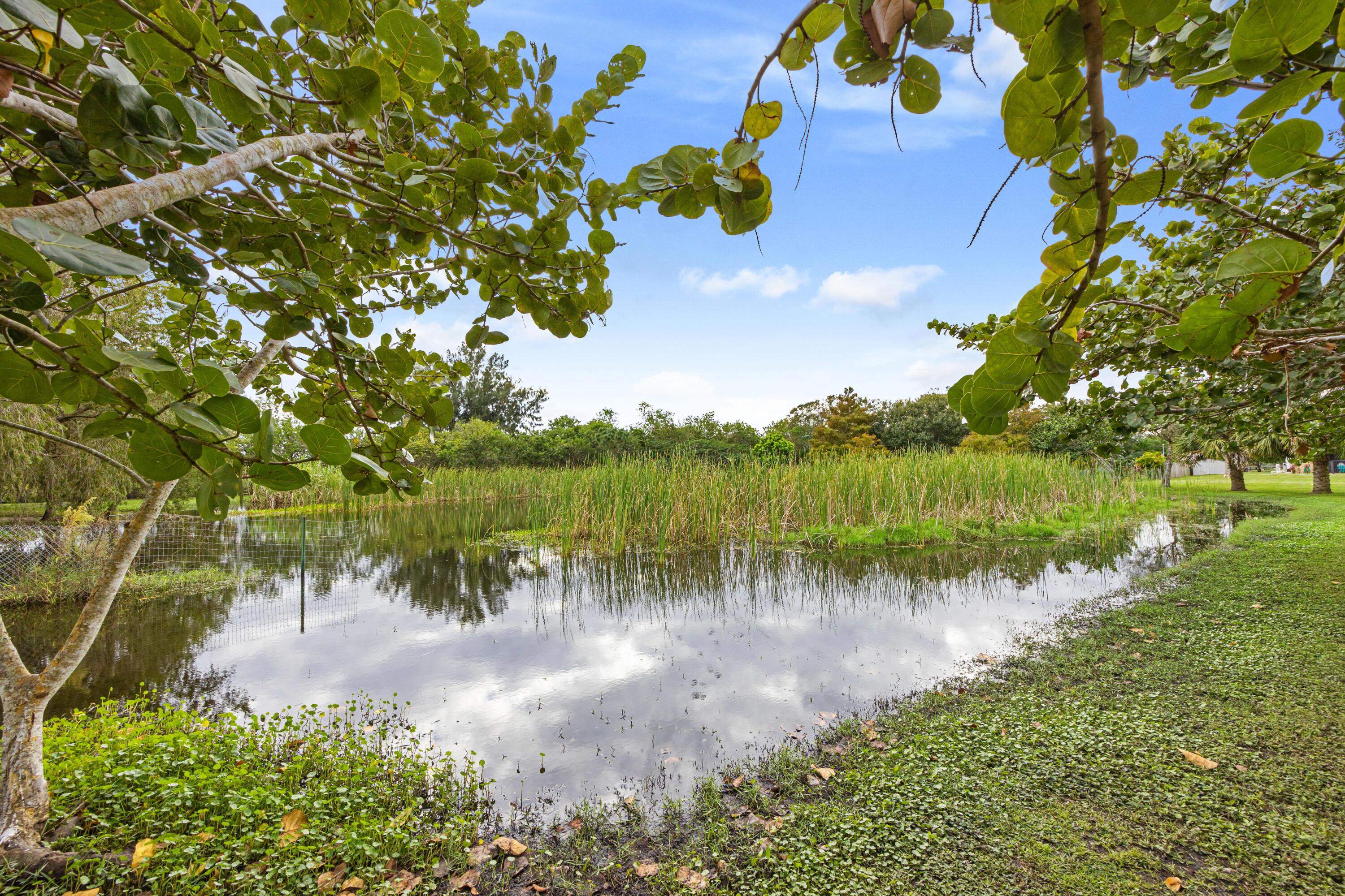 2774 Gentile Road Fort Pierce, FL 34945 - Photo 65 of 70 a view of lake with green space