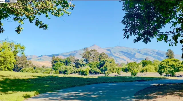 a view of a lake with a mountain
