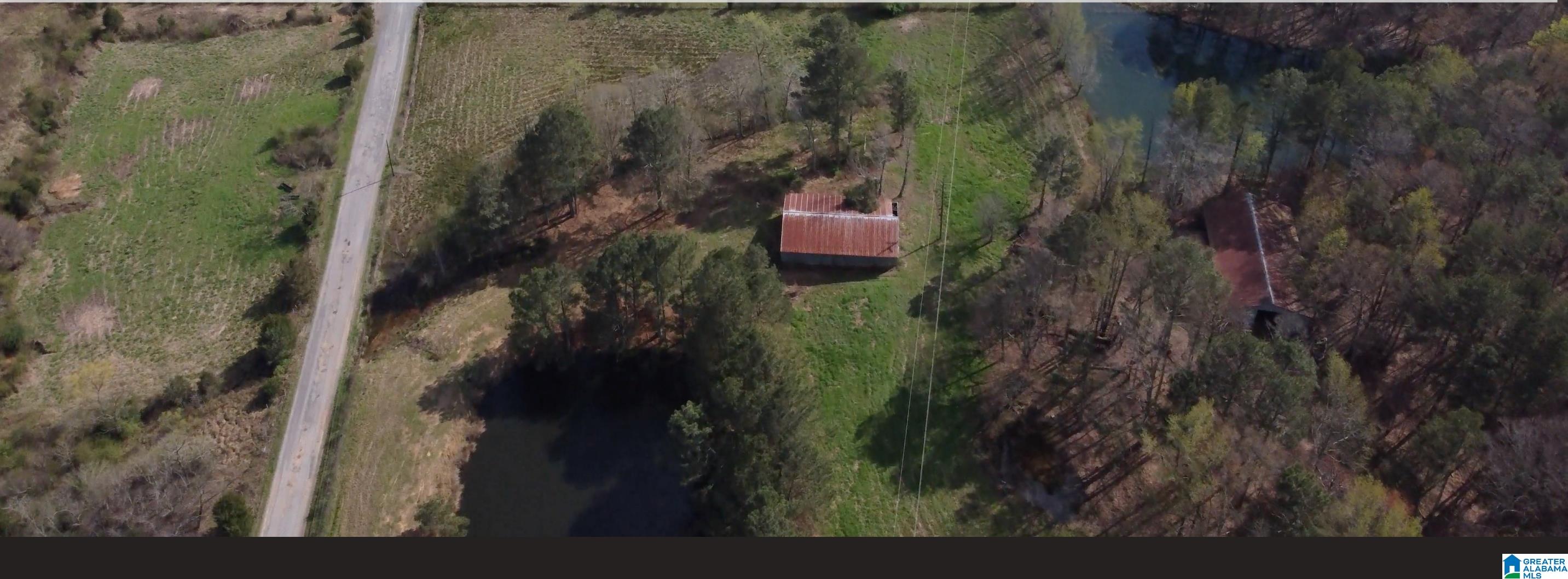 1319 Emery Road Blountsville, AL 35031 - Photo 3 of 18