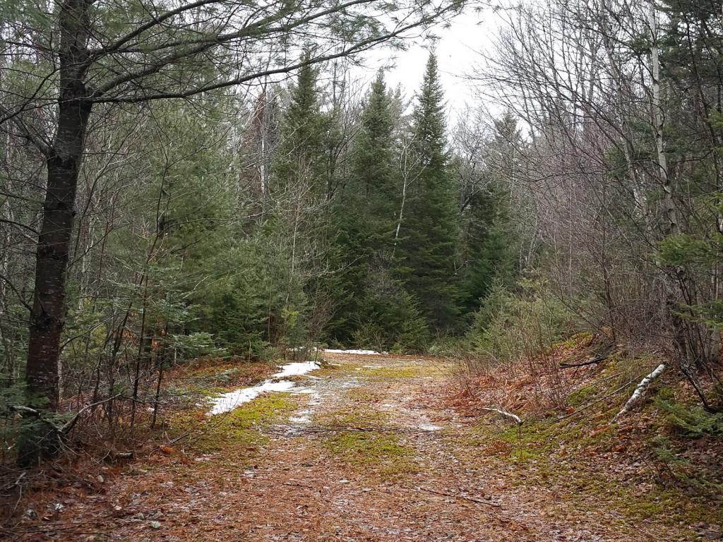 Lot 121 Beaver Pond Road Bethlehem, NH 03574 - Photo 1 of 6 Gallery Image 1
